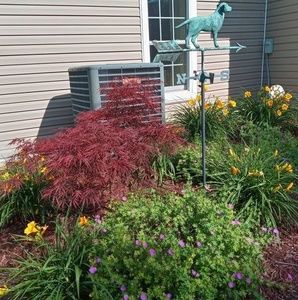 Meet your Posher, Teresa